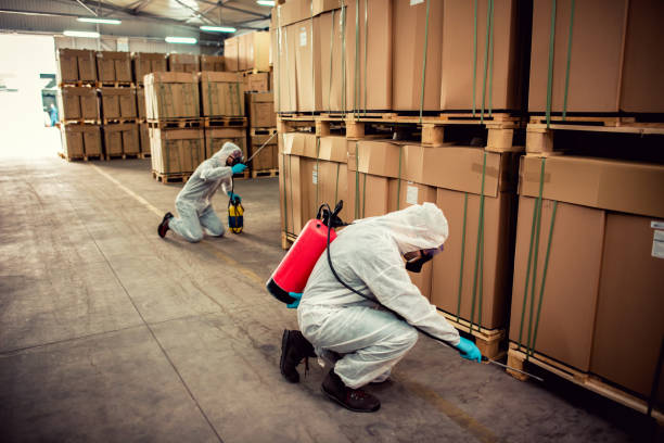Best Termite Control Services  in Flossmoor, IL