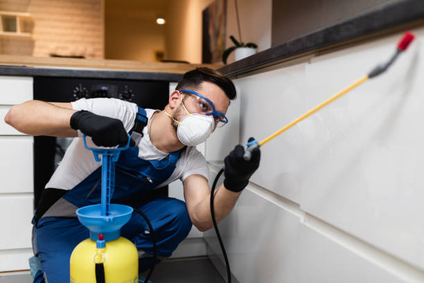Best Bed Bug Extermination  in Flossmoor, IL