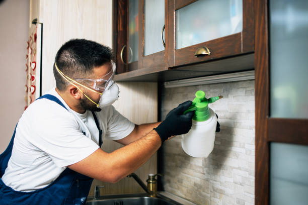 Best Mosquito Control Services  in Flossmoor, IL