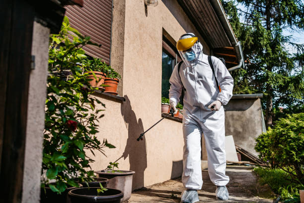Best Exterminator Services  in Flossmoor, IL