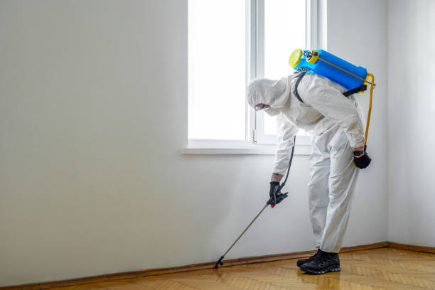 Best Local Pest Control Services  in Flossmoor, IL