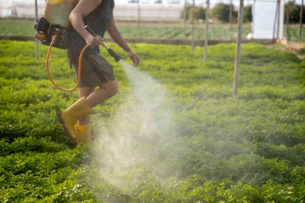 Best Best Pest Control Companies  in Flossmoor, IL