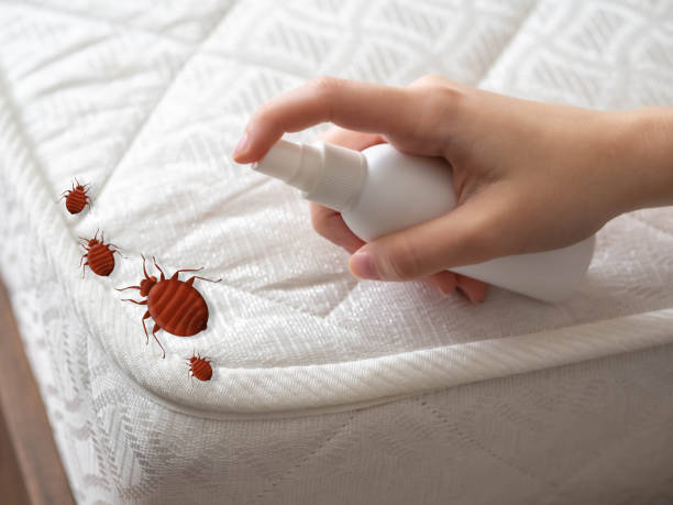 Best Pest Removal Services  in Flossmoor, IL