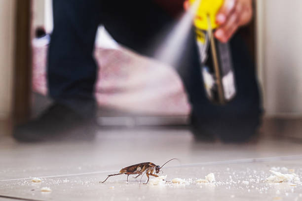 Best Pest Removal Services  in Flossmoor, IL